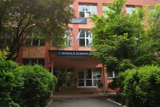 Poza Colegiul National Elena Cuza